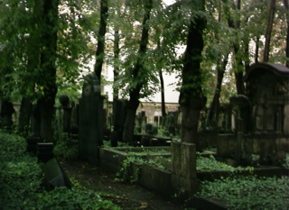 photo of Senerfelderplatz Jewish's Church burial ground