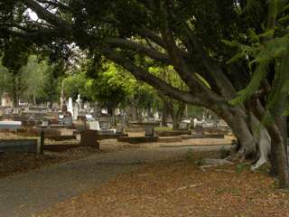 photo of Balmoral (section 4) Cemetery