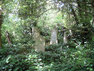 photo of Abney Park Cemetery