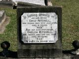 image of grave number 868353