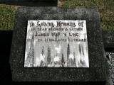 image of grave number 868475