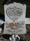 image of grave number 868265
