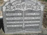image of grave number 315573