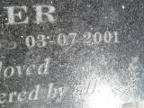 image of grave number 315583