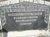image of grave number 315587