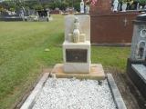 image of grave number 620025
