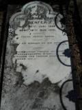 image of grave number 538535