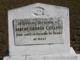 image of grave number 756015