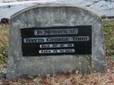 image of grave number 755325