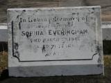 image of grave number 755161