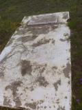 image of grave number 309050