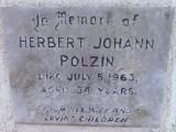 image of grave number 309070