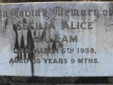 image of grave number 309529