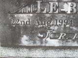 image of grave number 309549