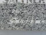 image of grave number 309569