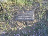 image of grave number 309604