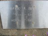 image of grave number 309651
