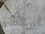image of grave number 309677