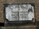 image of grave number 802331