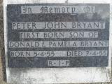 image of grave number 307985