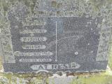 image of grave number 310799