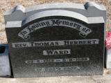 image of grave number 840180