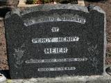image of grave number 861639
