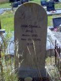 image of grave number 128899