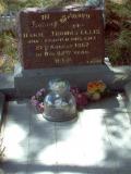 image of grave number 128906