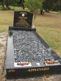 image of grave number 466505