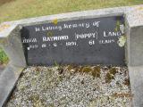 image of grave number 466517