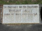 image of grave number 493357