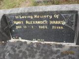 image of grave number 398025