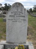 image of grave number 411414