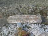 image of grave number 407685