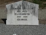 image of grave number 950866