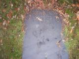 image of grave number 163099