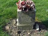 image of grave number 666728