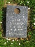 image of grave number 422985