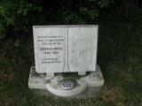 image of grave number 423150