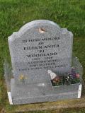 image of grave number 486746