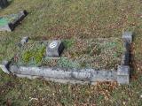 image of grave number 462608