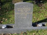 image of grave number 463491
