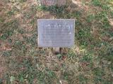 image of grave number 795570