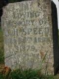 image of grave number 333313