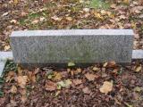 image of grave number 181729
