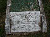 image of grave number 79095