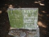 image of grave number 67680