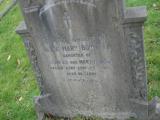 image of grave number 53329