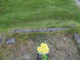 image of grave number 345781